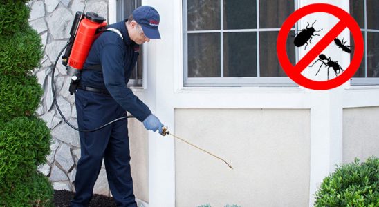 Çiğli Bit İlaçlama böcek ilaçlama ve haşere kontrolü — ilaclama-tr.com